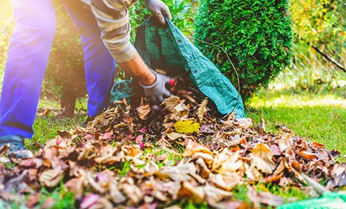 West Side Comprehensive Chiropractic Care - Autumn Back Care Tips